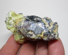 +++ Martit xx in Lizardit -- Dypingdal, Snarum, Norwegen +++ Jade