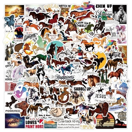 100 stück reiten - stück,