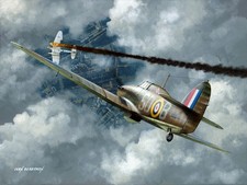 POLNISCHES KÄMPFERASS