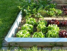 Schneckenzaun feuerverzinkt 25 cm | innogard Schneckenschutz Metall ohne Chemie