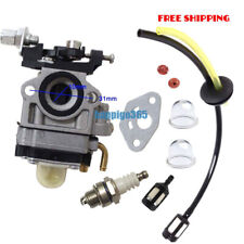 Vergaser für 23ccm 25ccm 26ccm Einhell AL-KO Atika Fuxtec Motorsense Heckenscher