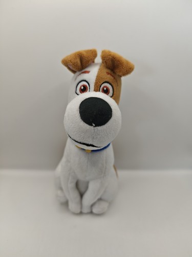 Pets hund max - pets, 2