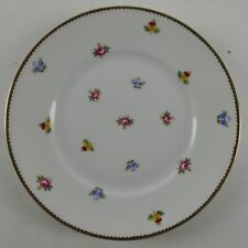 Rosenthal Balmoral Streublumen 1. Wahl Teller 20 cm KS-2049