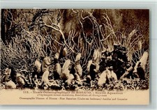 10513861 - Nr. 112 - Musee Oceanographique - Aquarium Fische Monaco