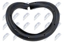 Federplatte Hinterachse unten