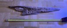 Großes Aquarium Driftwood ca. 58cm – Natur Wurzelholz Unikat