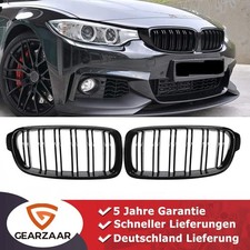 Grill Kühlergrill Nieren