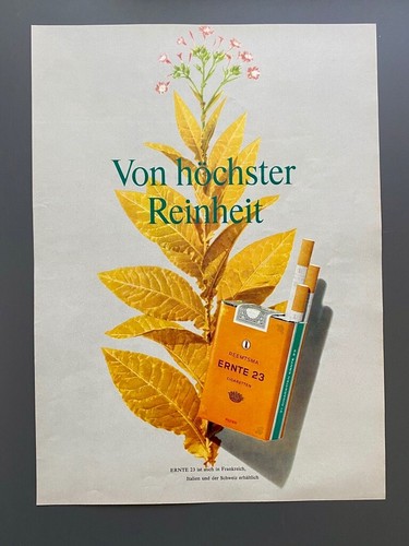 Ernte von höchster - 23,