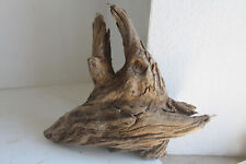 Schwemmholz Treibholz  ❤️