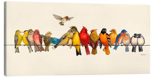 Leinwandbild vogel menagerie - vogel,
