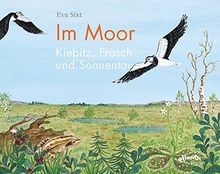 Moor kiebitz frosch - kiebitz,,
