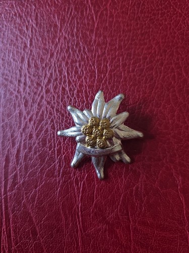 Alte anstecknadel - ,
