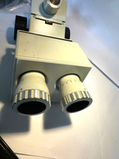 Carl Zeiss Stereomikroskop