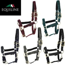 Equiline Halfter mit Glitzer
