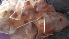 6m exquisite Organza