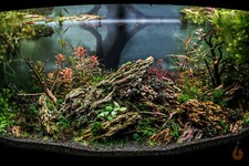 ⭐ Drachenstein Ohko Stein | Aquascaping Aquarium Scape Steine Terrarium Deko ⭐