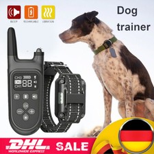 1000M Erziehungshalsband mit