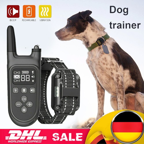 1000m erziehungshalsband mit - 1000m,