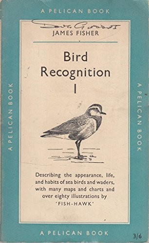 Bird recognition sea birds - recognition, 1