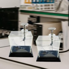 Blatt Elektroskop Lehrmittel