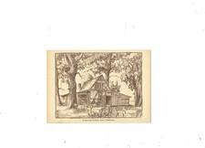 AK Dessau Fischerhütte a. d