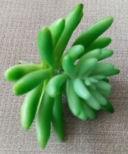 1 Stück künstliche Sukkulente, Kunstpflanze zB für Terrarium - gebraucht