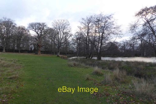 Foto 6x4 weg neben unterteich - foto,