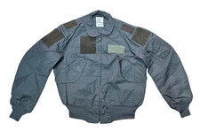 American USAF Flight Flyers