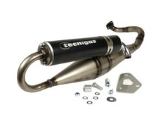 Auspuff TECNIGAS Next R TGB