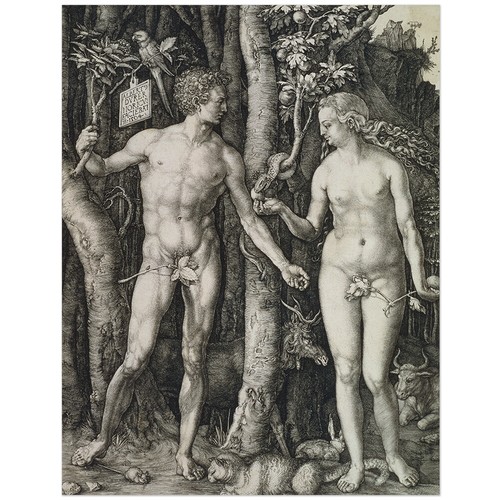 Albrecht dürer adam und eva - dürer,,