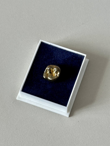 Anstecker pin goldener - anstecker, zahn