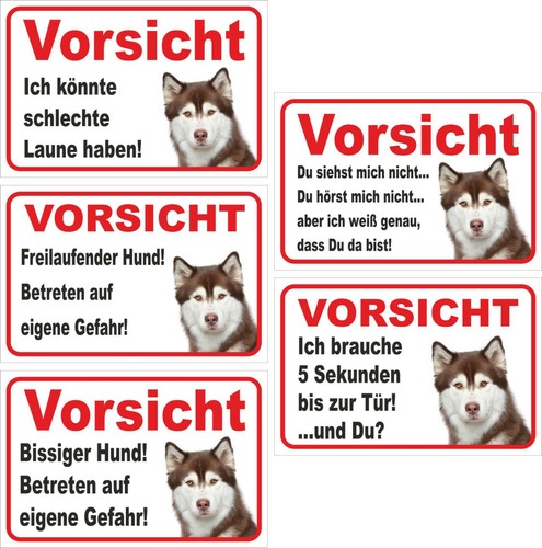 Schild vorsicht siberian - -,