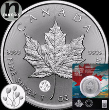 MAPLE LEAF Ballons Privy -