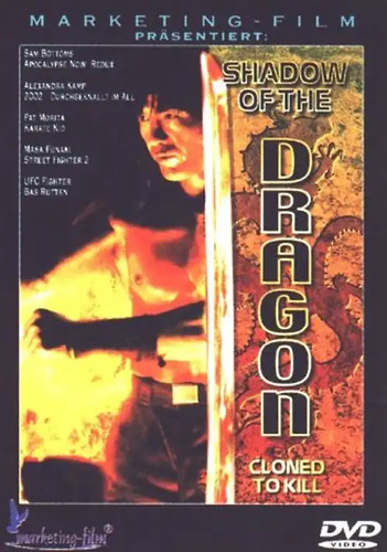 Shadow the dragon - shadow, of