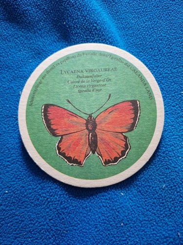 Bierdeckel schmetterling - bierdeckel,