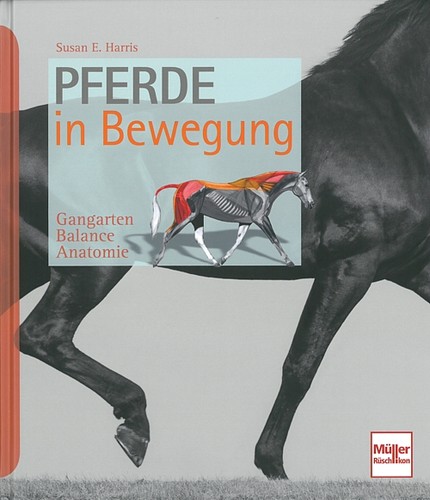 Harris pferde bewegung - in,