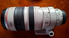Canon EF 100-400mm F/4.5-5.6 L