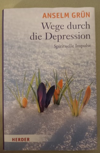 Wege durch die depression - die,