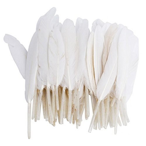 Hugestore 100 stück echte - hugestore,