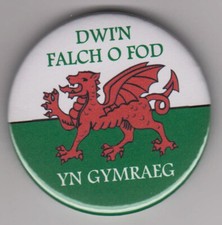 DWI'N FALCH O FOD YN GYMRAEG