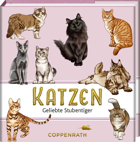 Katzen julia gerigk - julia,
