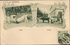 Passepartout Ak Funchal Insel