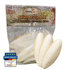 Sepiaschale 16-24cm - 8-10