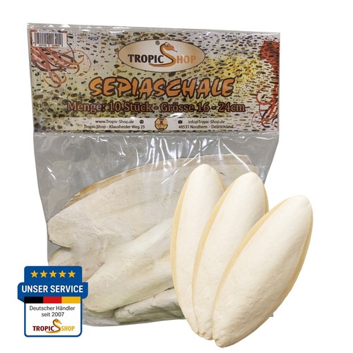 Sepiaschale 24cm 8 10 - sepiaschale, 8-10