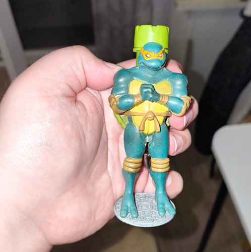 Teenage mutant ninja turtles - teenage,