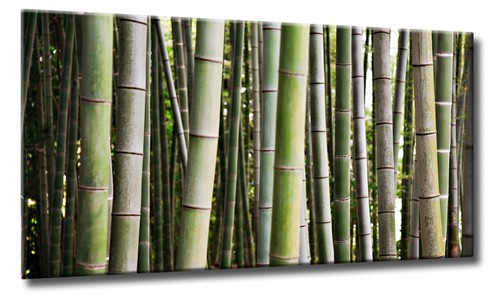 Leinwand bild abstrakt - leinwand, bambus