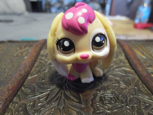 Lps little pet shophase bunny - pet,