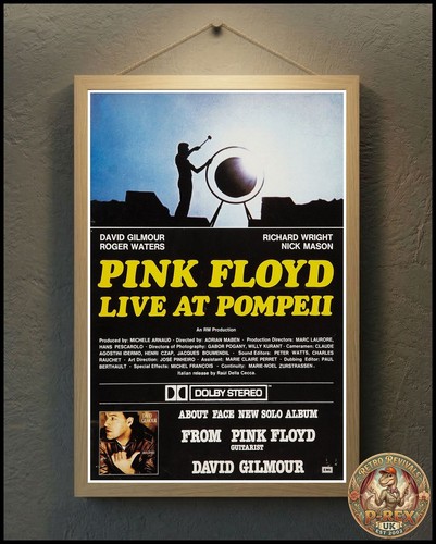 Pink floyd live - pink, at