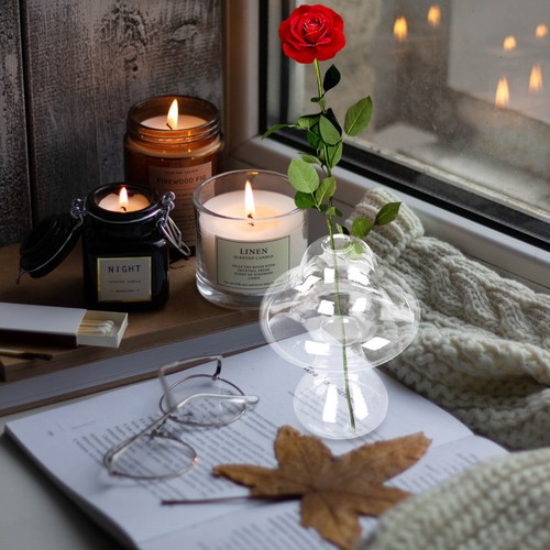 Glasblumentopf kreative - glasblumentopf,