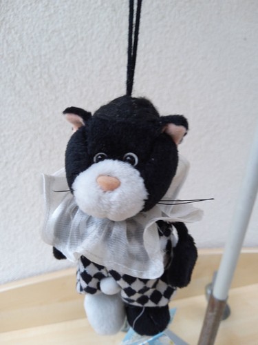 Nici katze maus - nici,